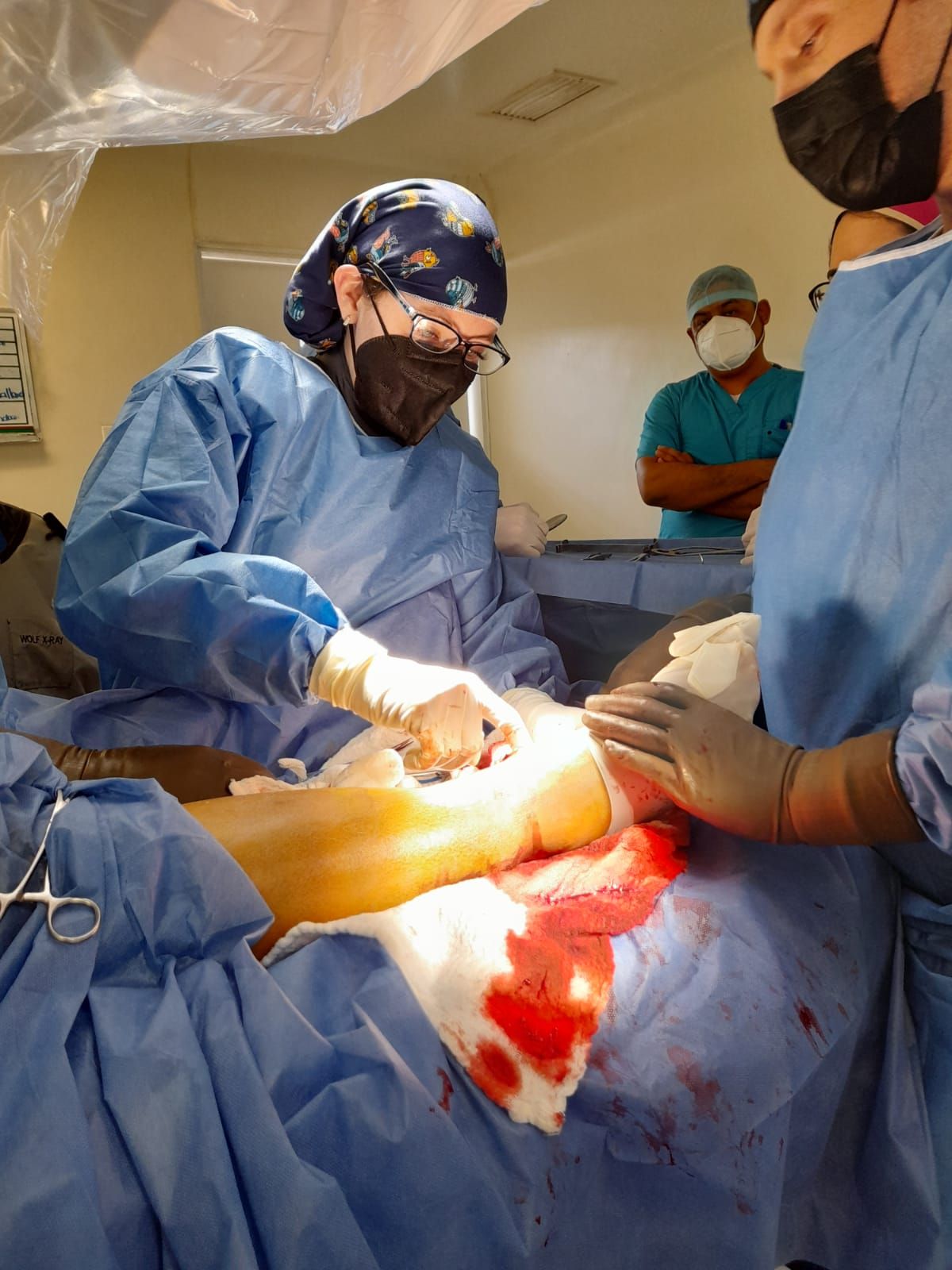 Maria De Lourdes Cortés Steidle-1