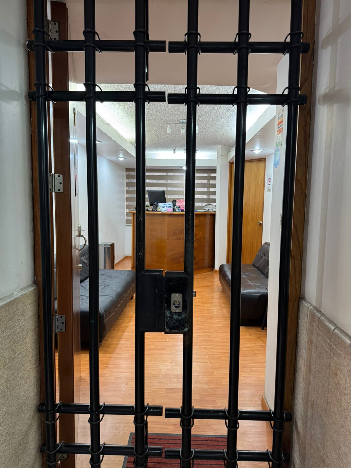 Dalila Hernández Vázquez-1