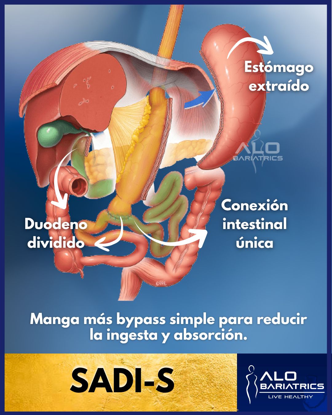 Alejandro López Ortega-27