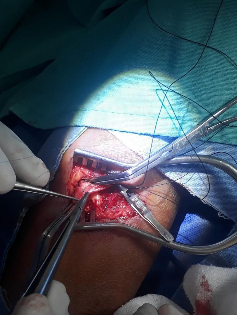 Victor Manuel Carmona Delgado-14