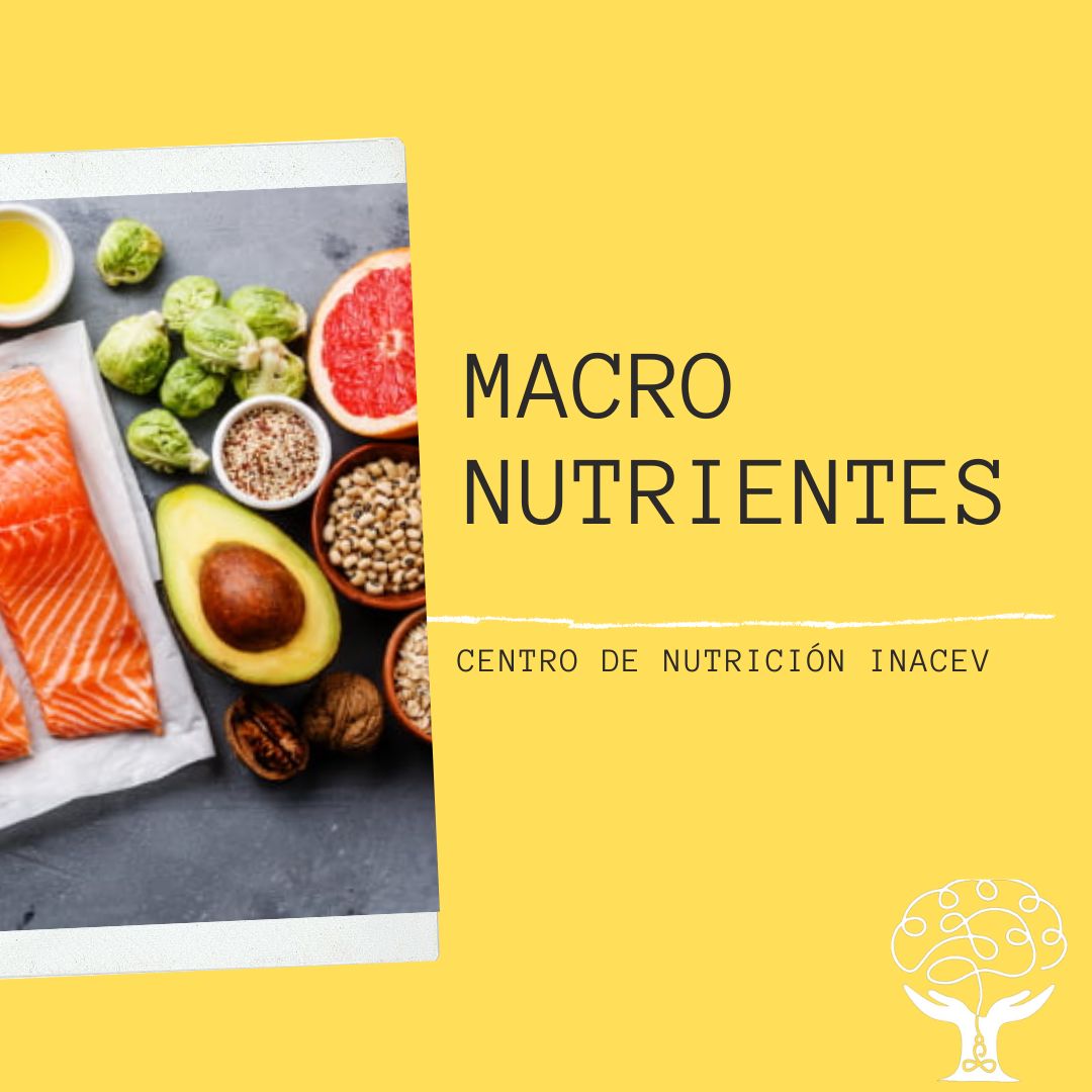 Manuel Josimar Hernández Castillo-9