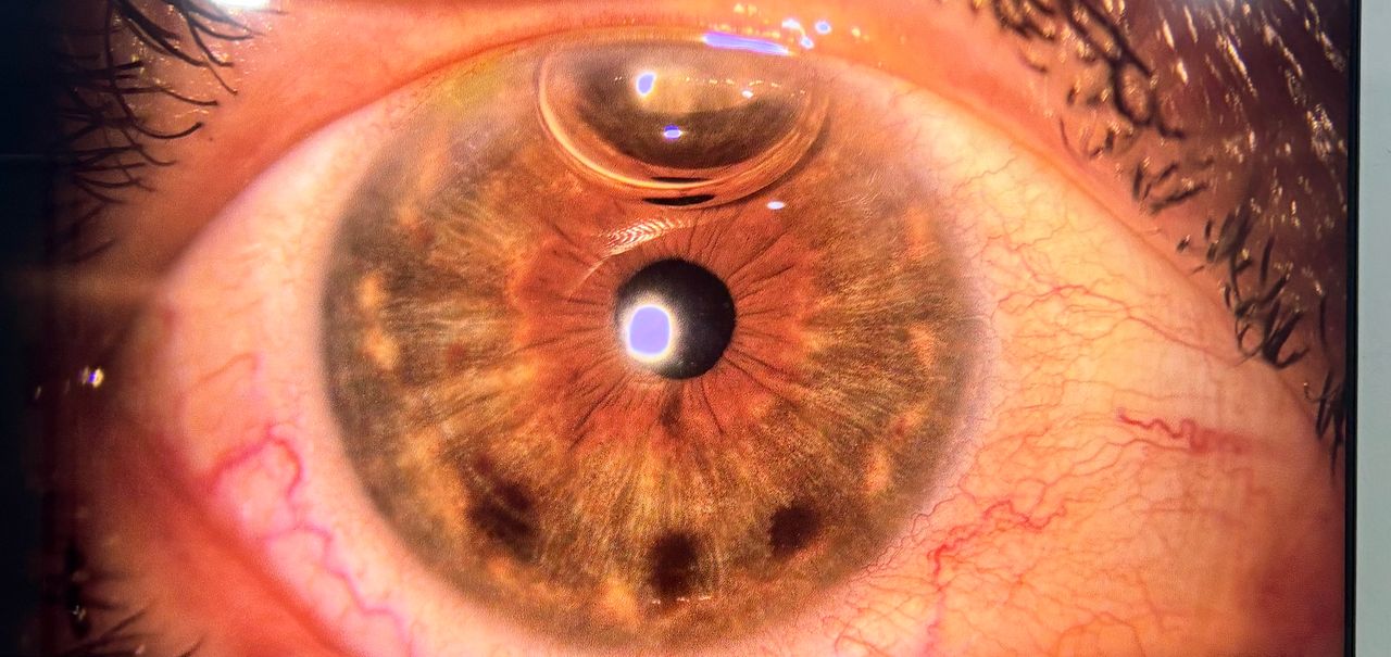 Luis Enrique Casillas Trejo-16