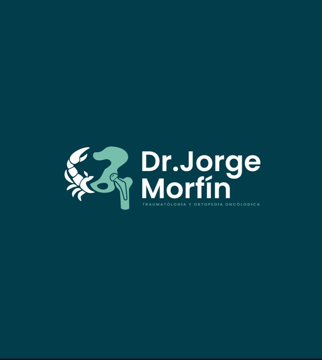 Jorge Armando Morfín Chávez-0