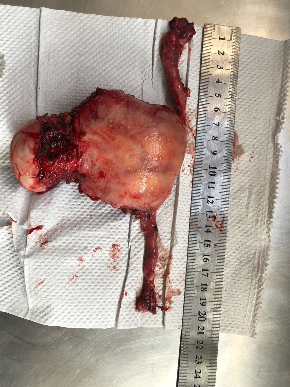 Mariann Barajas Grijalva-19