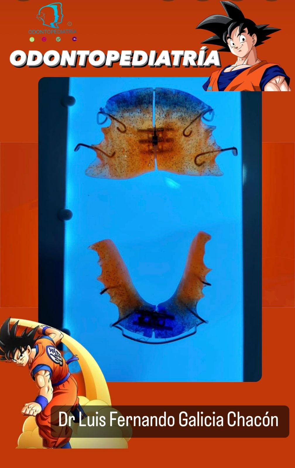 Luis Fernando Galicia Chacón-5