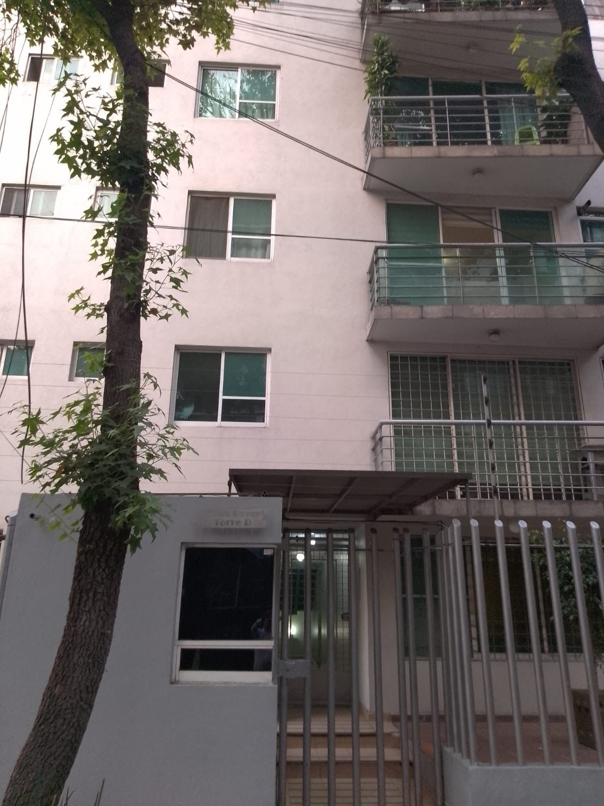 Margarita Jonguitud Vázquez-9