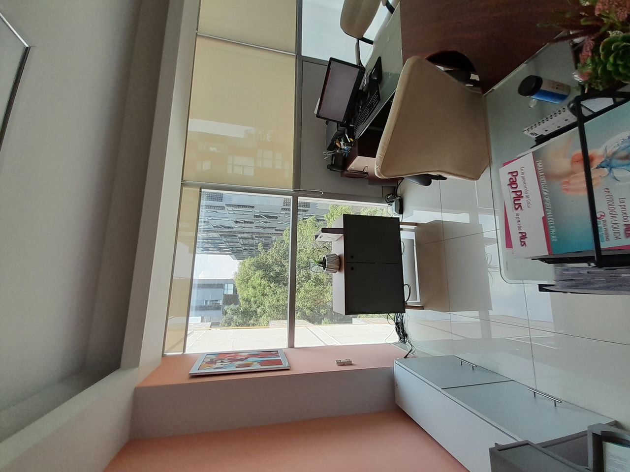 Luis Israel Sarmiento Gamboa-5