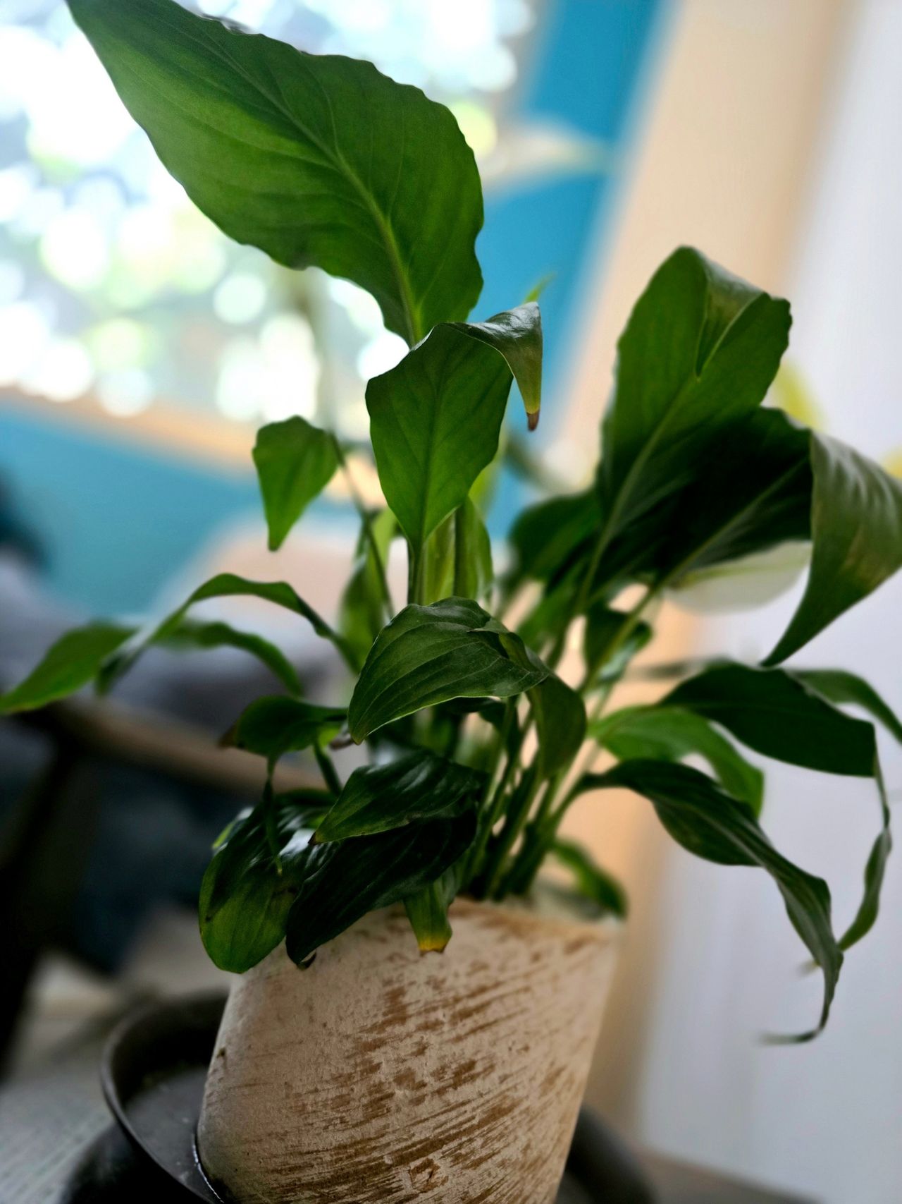 Marina Rodríguez Vázquez-0