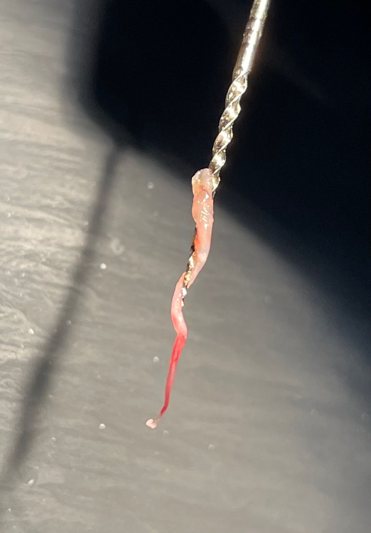 Angel Francisco Quiñones Mendoza-9