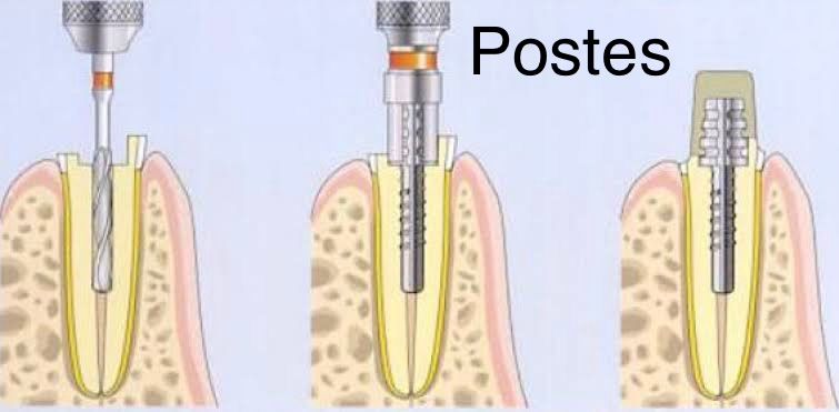 Wendy Sánchez P.-16