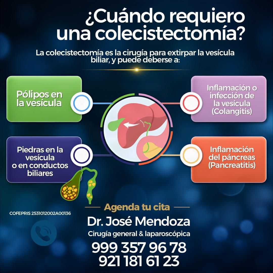 José De Jesus Mendoza Palomec-24