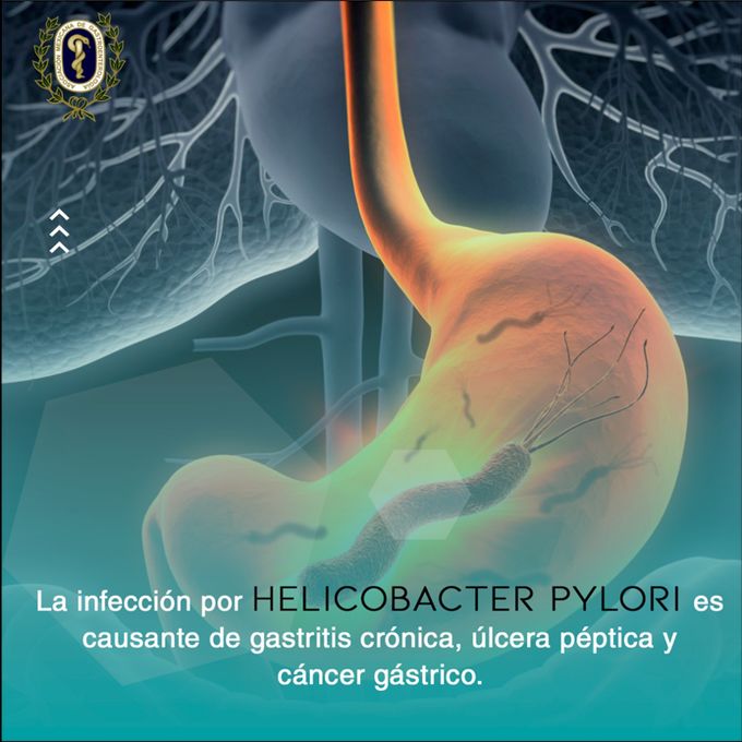 Xóchitl Lilián Cadena Figueroa-1