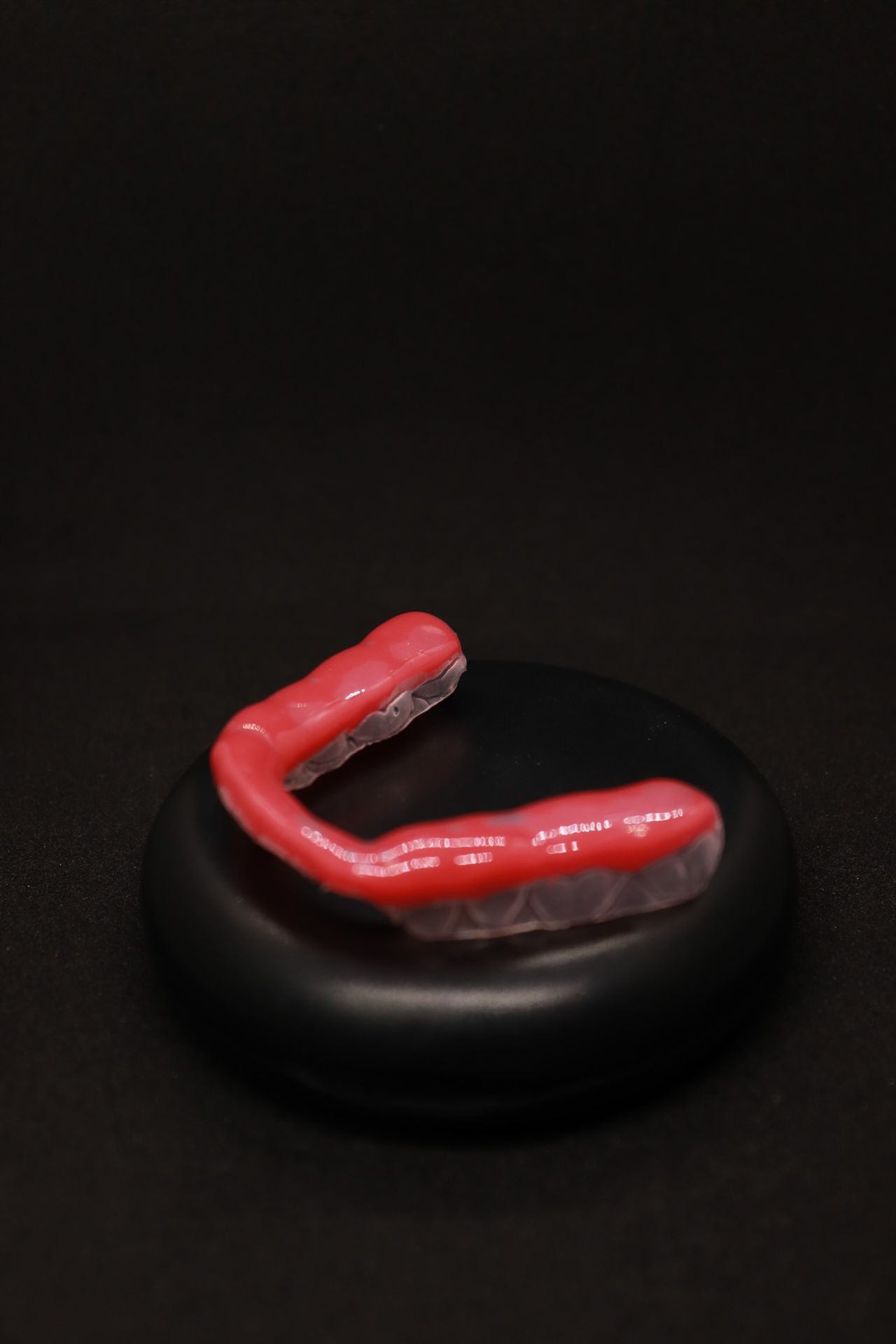 Perla Mariana Brito-3