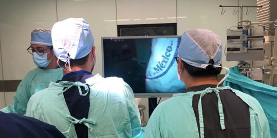 Omar Piñón Solís-24