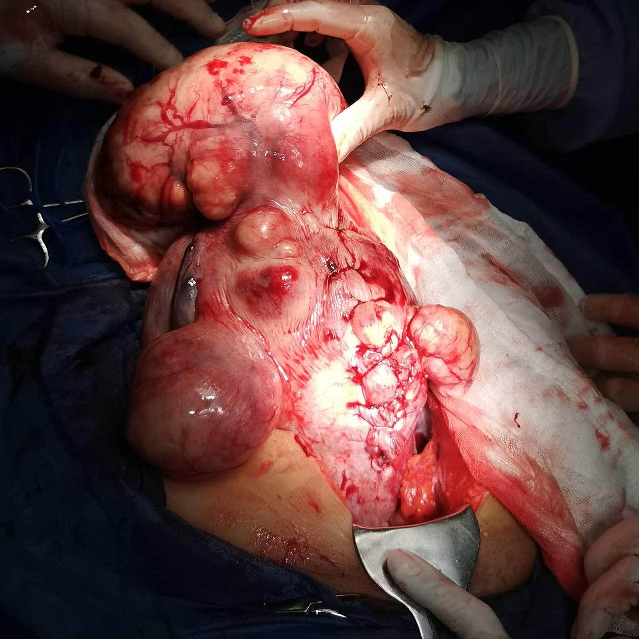 Marisol I. Alvarez Carrasco-13