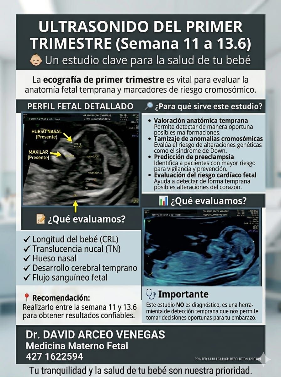 David Arceo Venegas-11