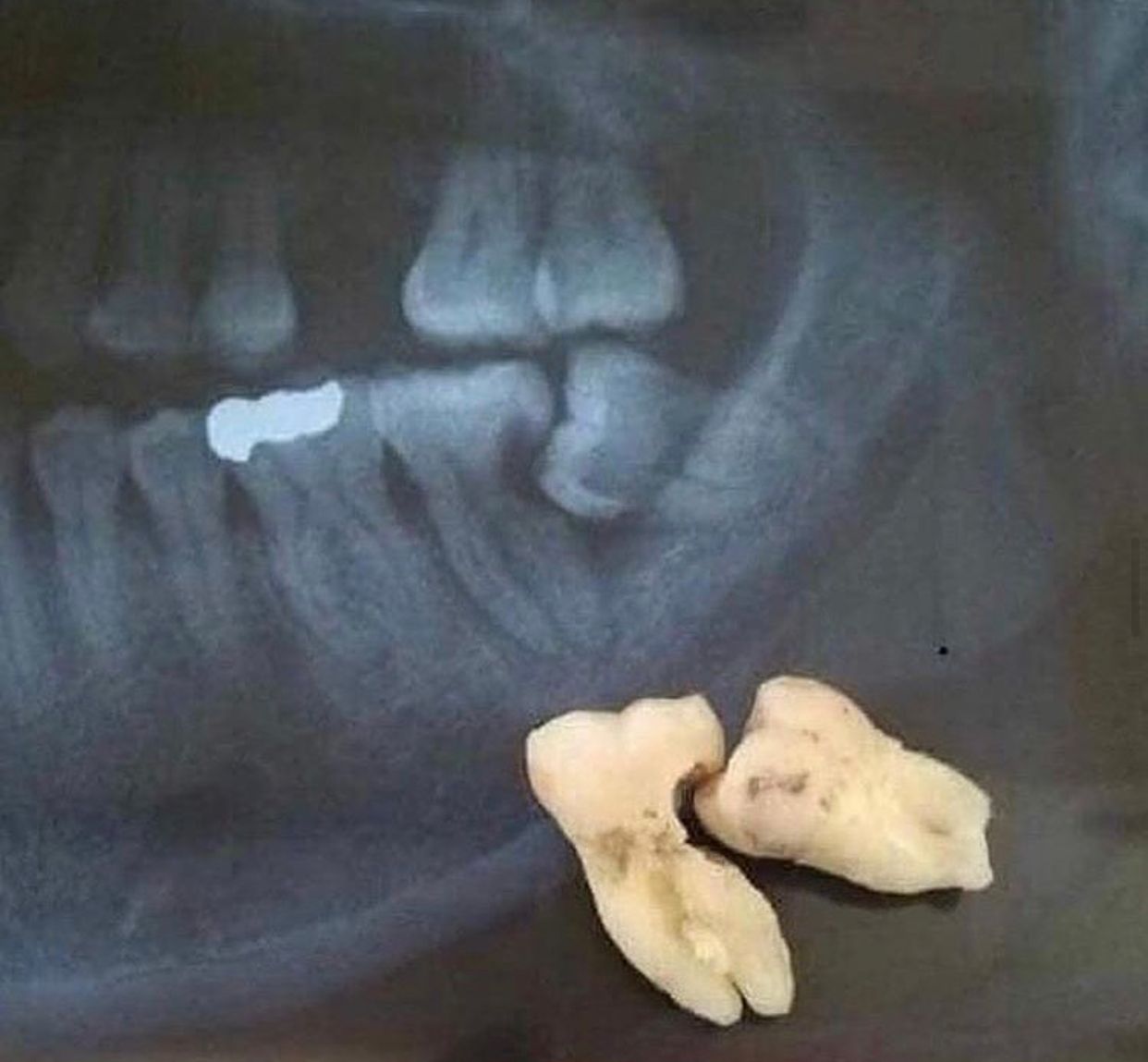 Blanca Margarita Lora Aguilar-1