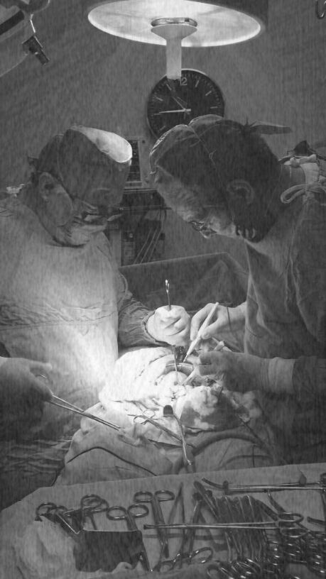 Andrés Vicente Vela Vizuet-4