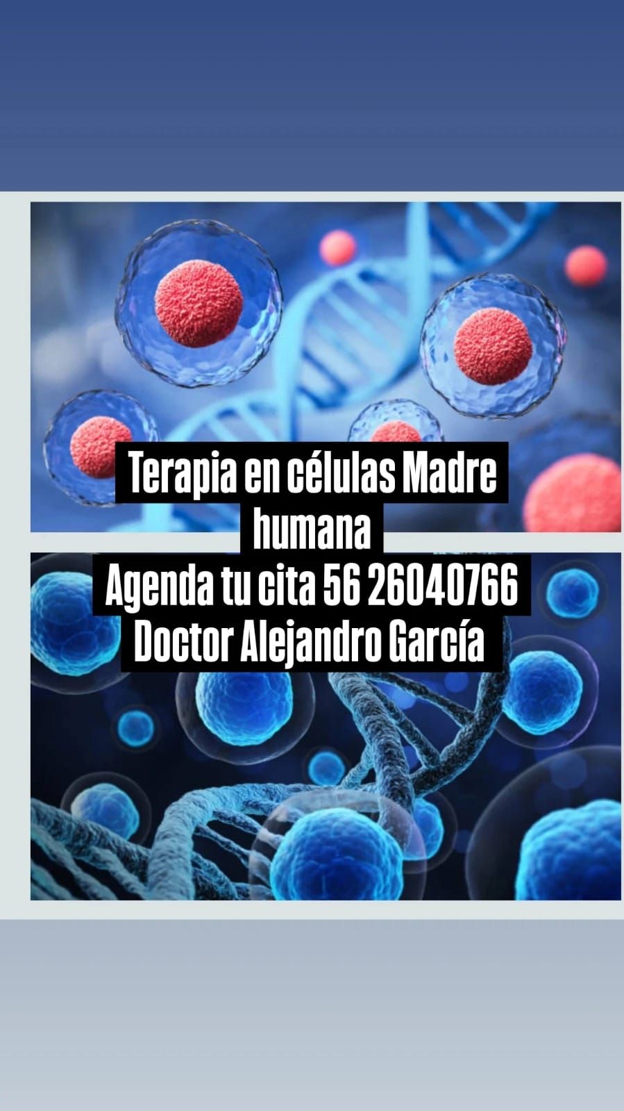 Alejandro García Ayon-0