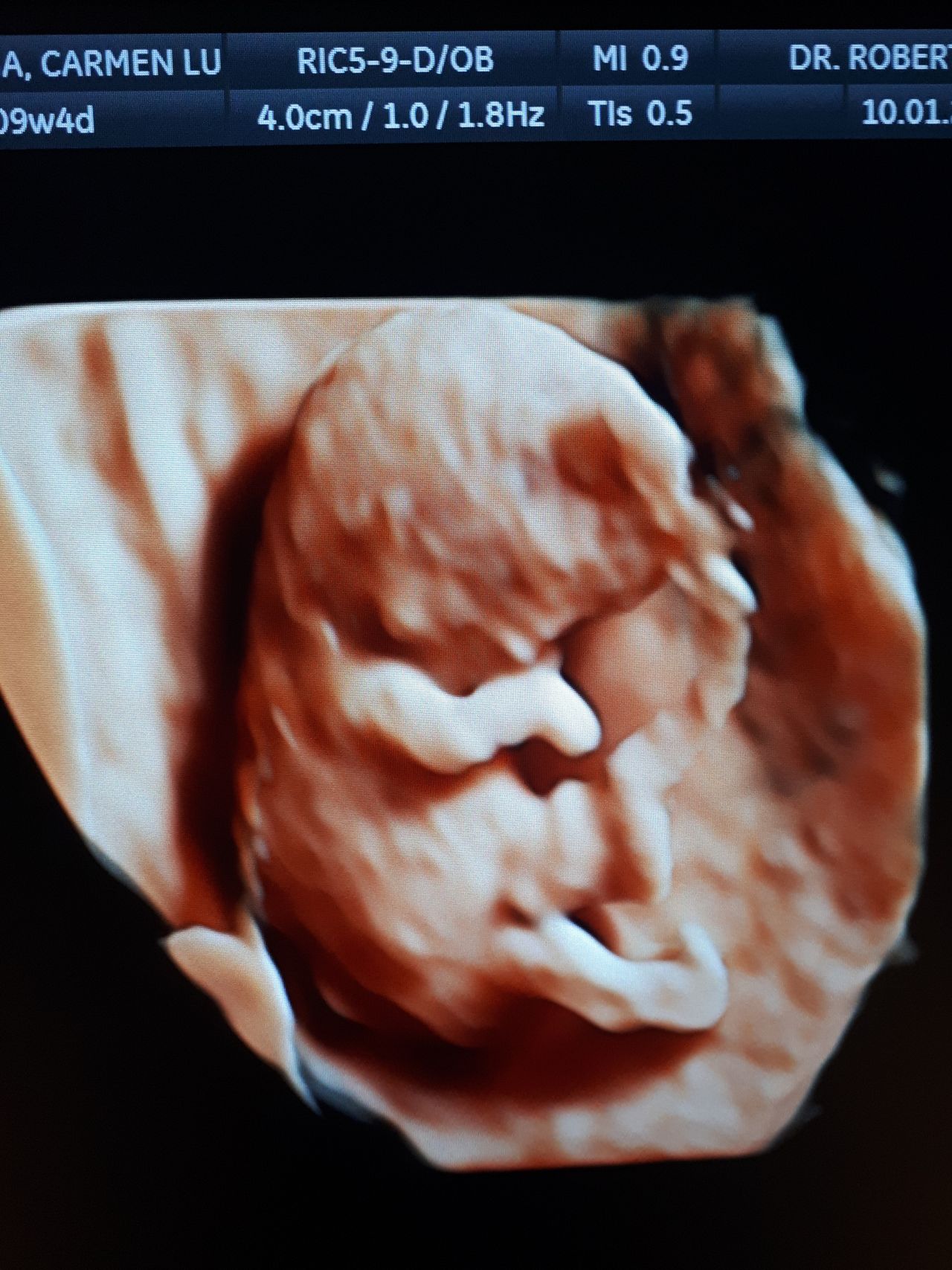 Máximo Roberto López López-4