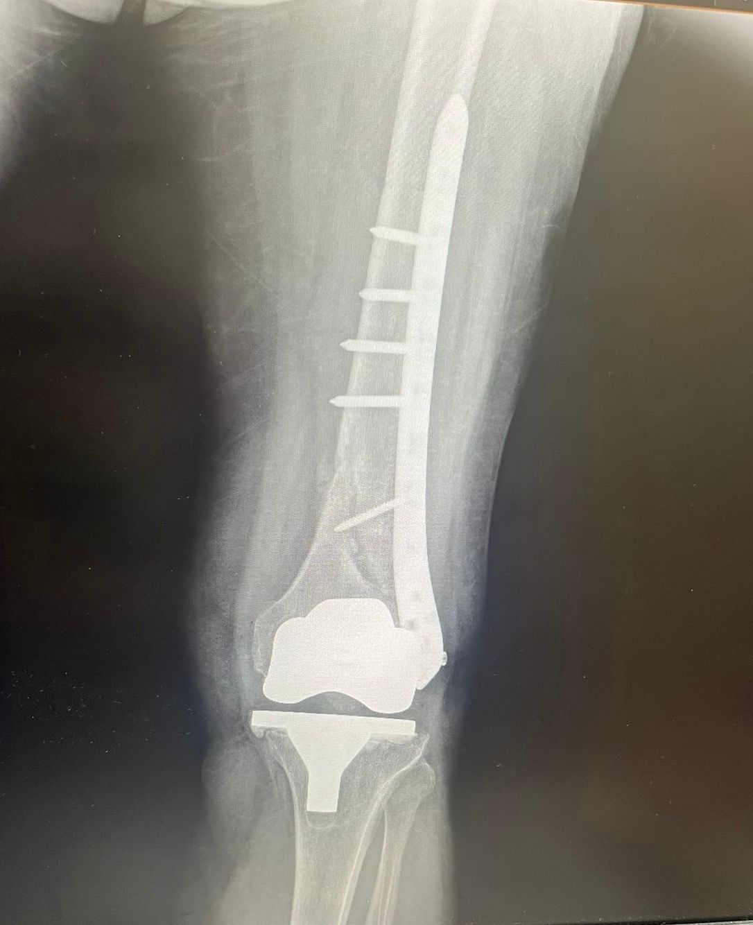 Viridiana Mena Villalobos-5