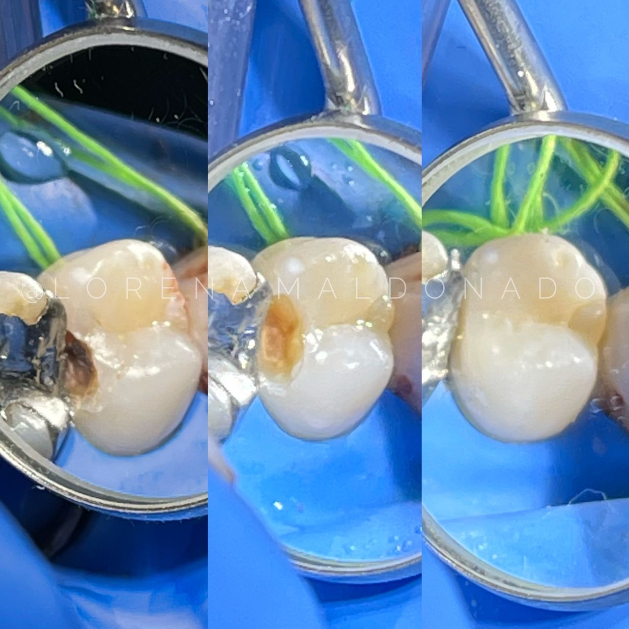 Ana Lorena Maldonado Munguia-6