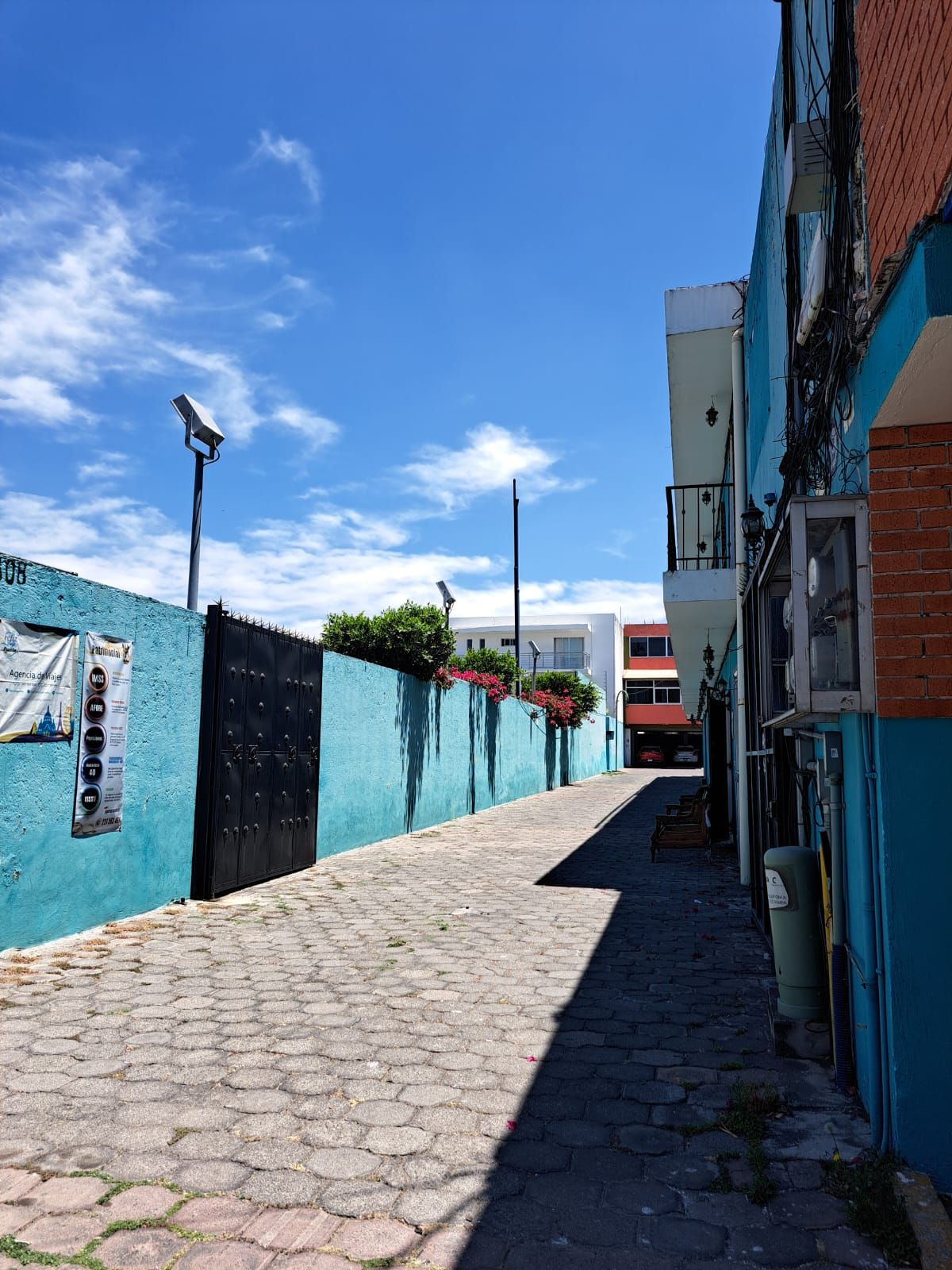 María Fernanda Nitsch Bolívar-3