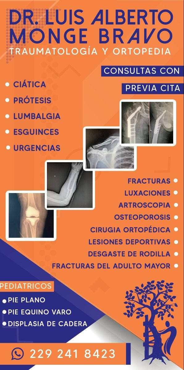 Luis Alberto Monge Bravo-6