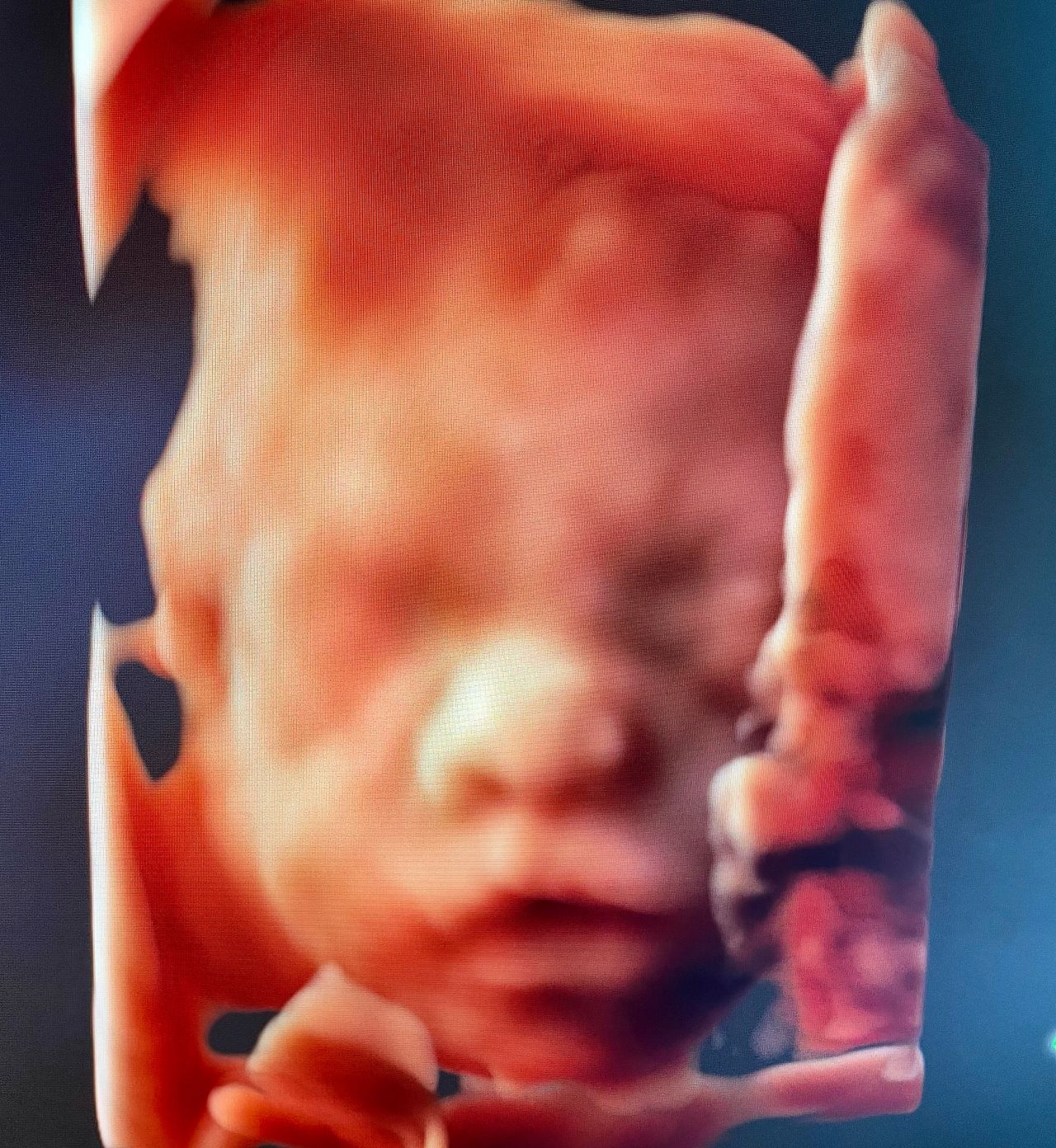 Mariana Thomas García-2