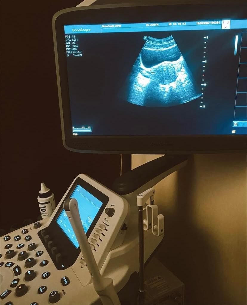 Juan Flores Cardoso-3