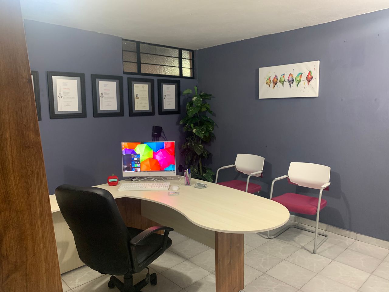 Jocelyn Ruiz Guzmán-4