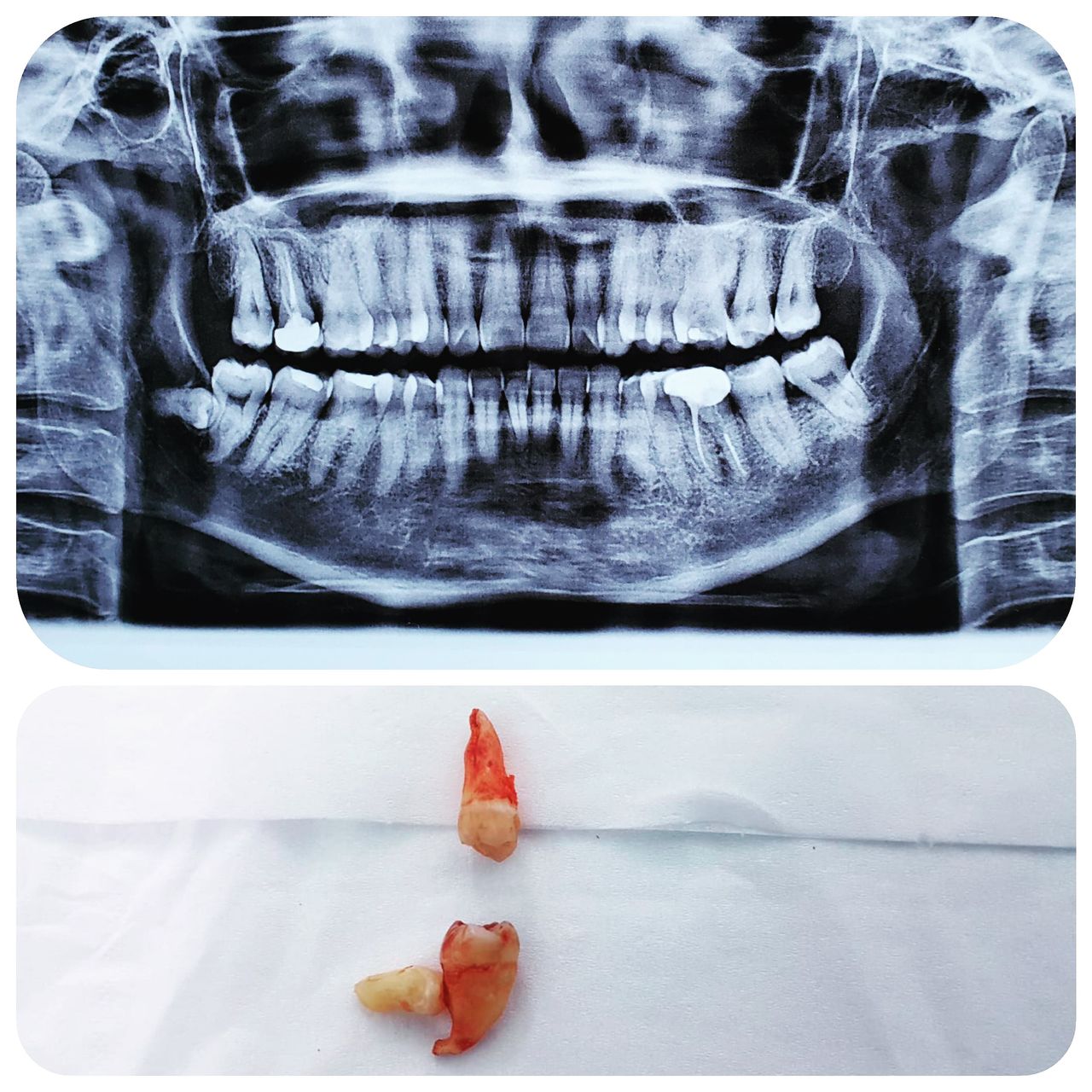 Mara Patricia Cercas López-2