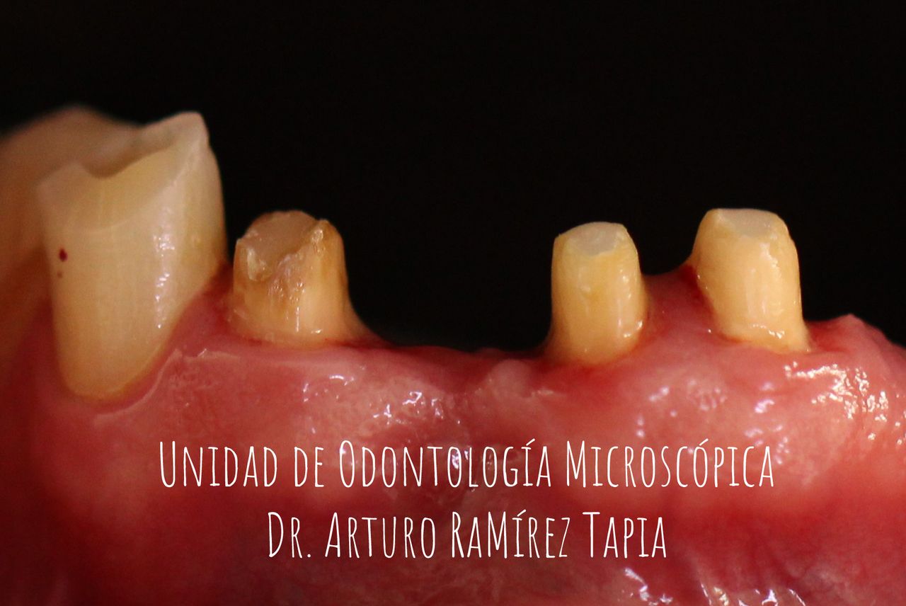 Arturo Ramírez Tapia-11