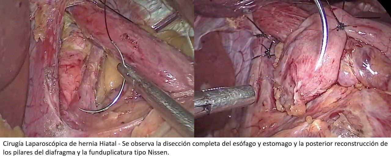 José Miguel Romero De La Vega-0