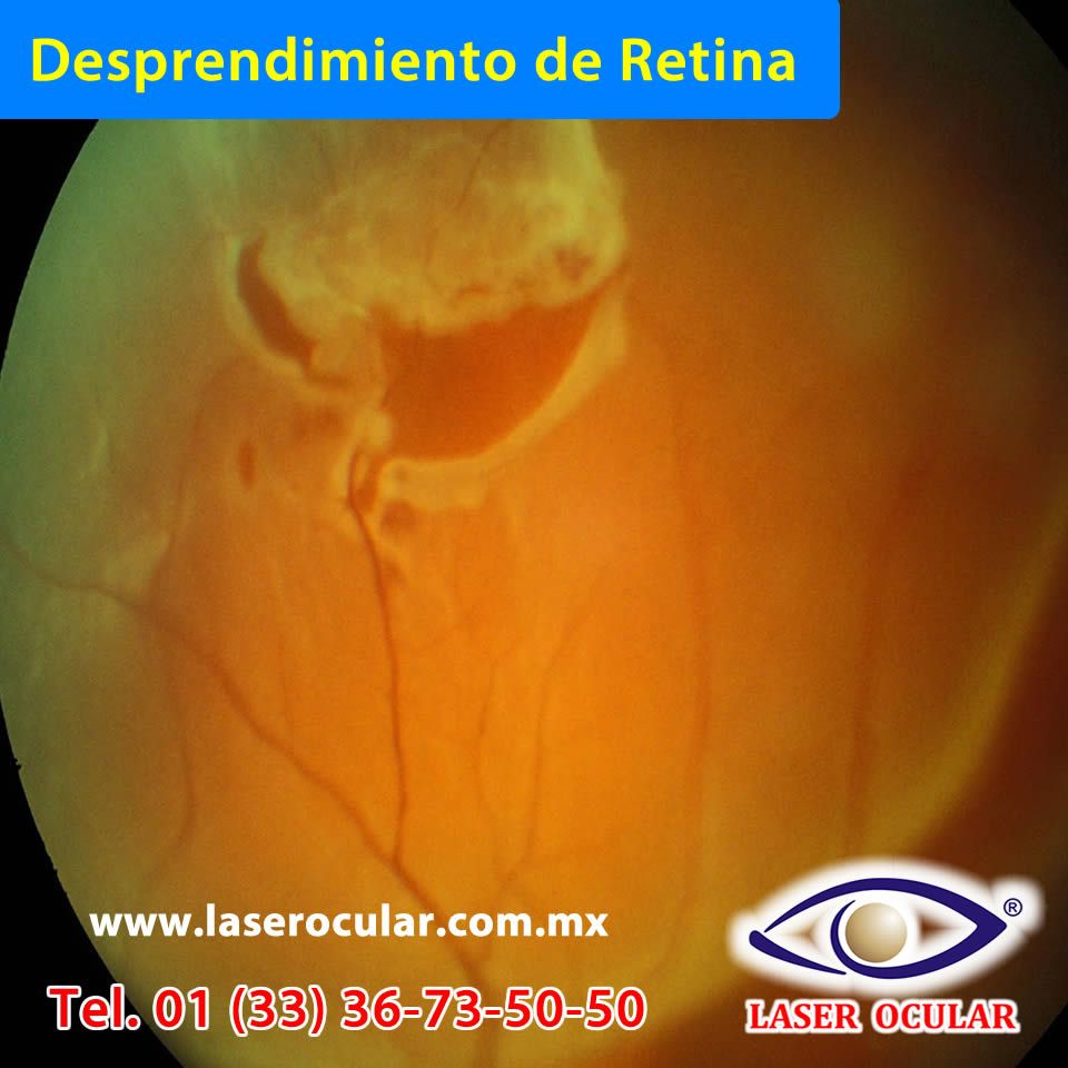 José Luis Salinas Gallegos-20