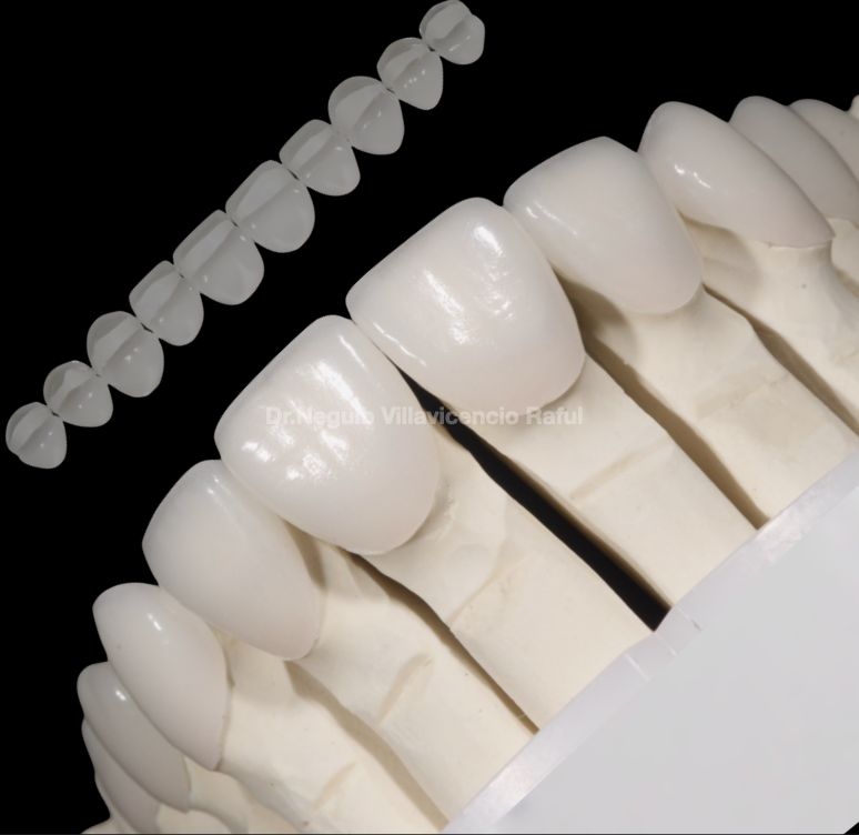 Neguib Villavicencio Raful-37