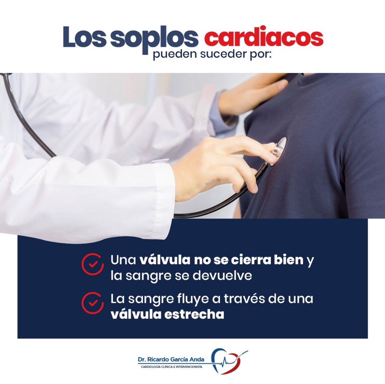 Ricardo Garcia Anda-4