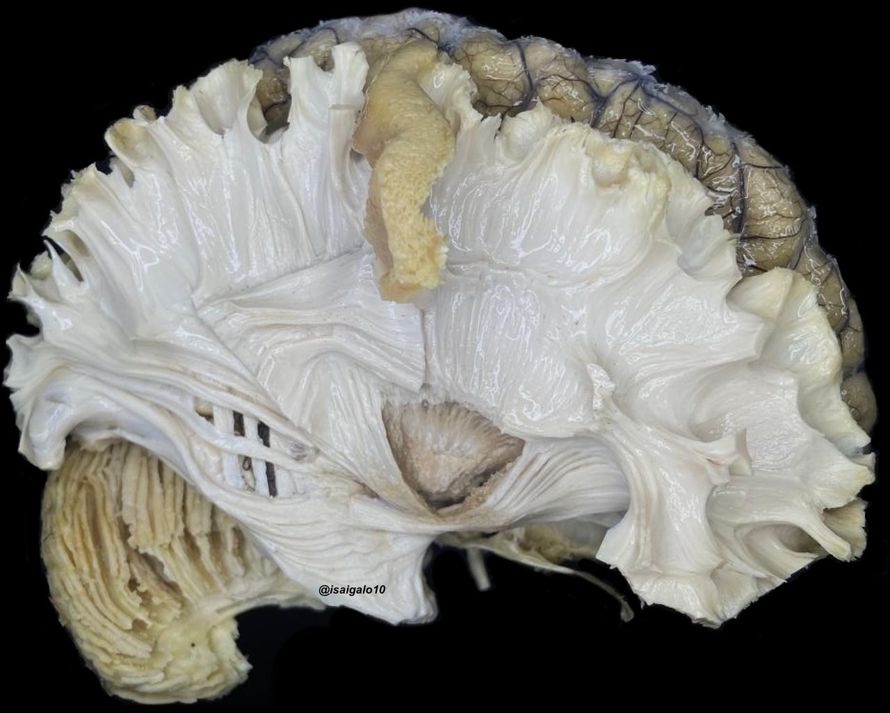 Isai García  López-0