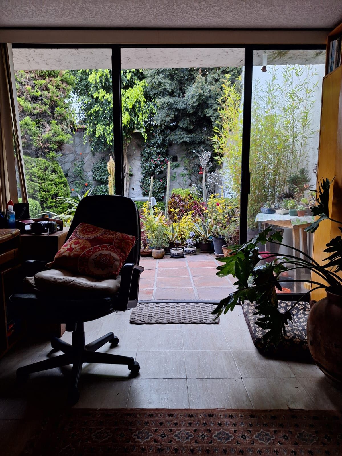 Luciano Berumen Martínez-3