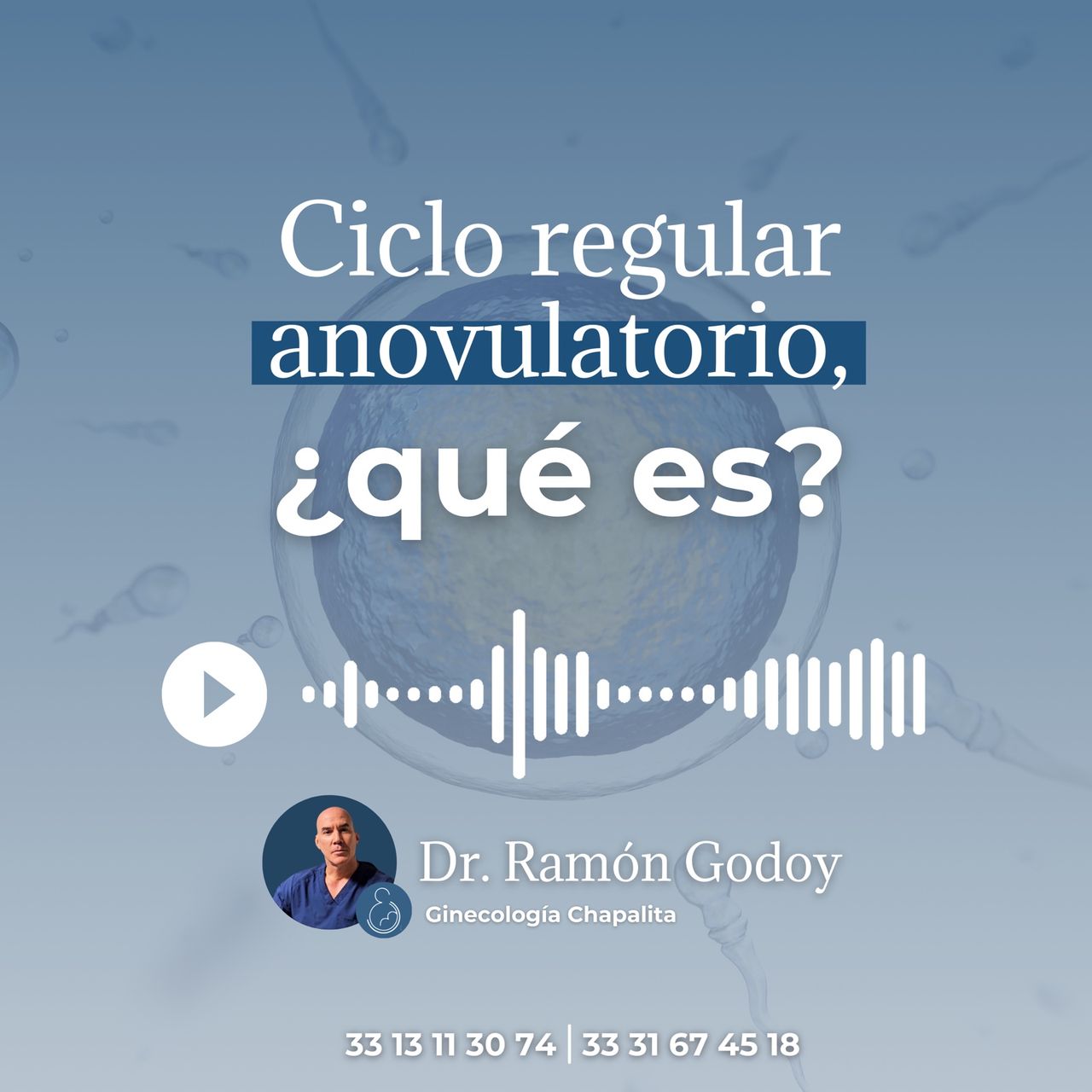 Ramon Javier Godoy Muzquiz-8