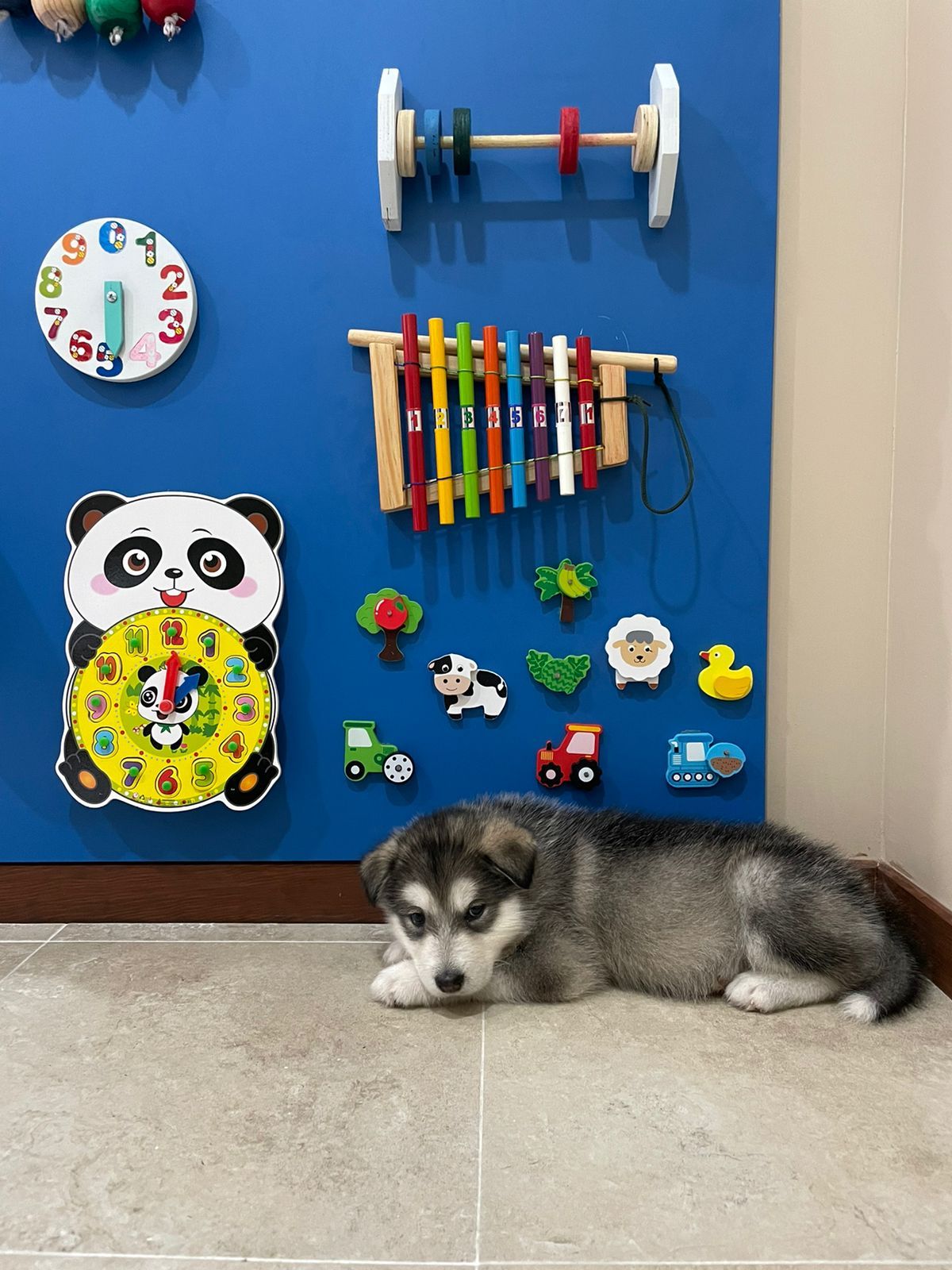 Jorge Ivan Suarez Soto-4