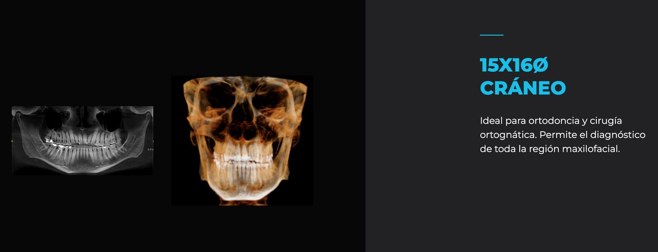 Alfonso Ayala Gómez-5