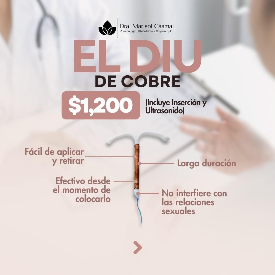 Marisol Caamal Velázquez-2