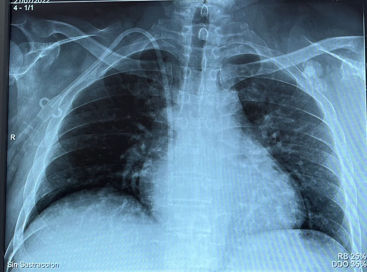 Zenia Edith Hernández Velasco-0