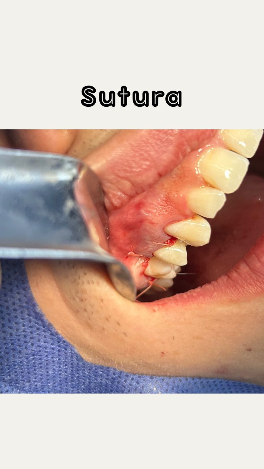 Elda Villarreal Garcia-1