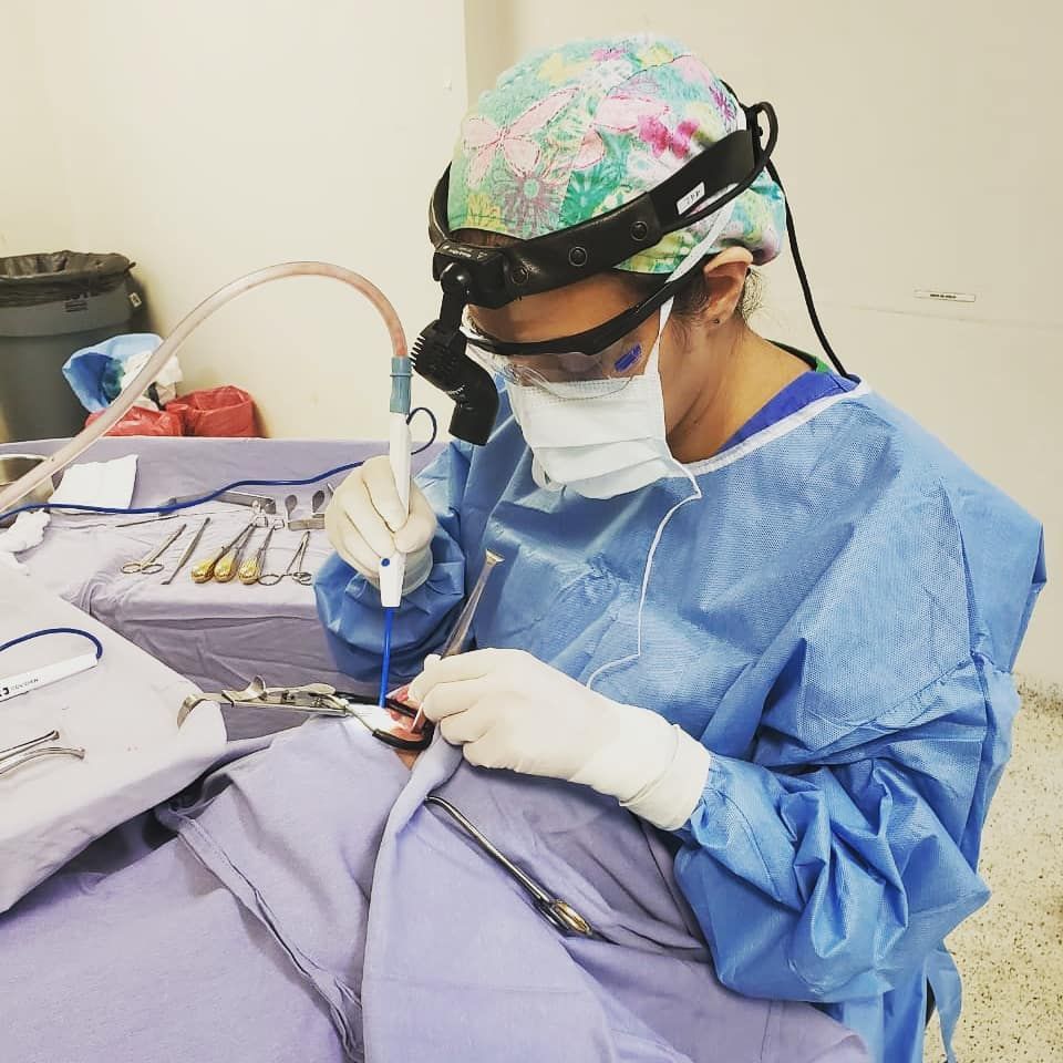 Anabel Sandoval De La Fuente-0