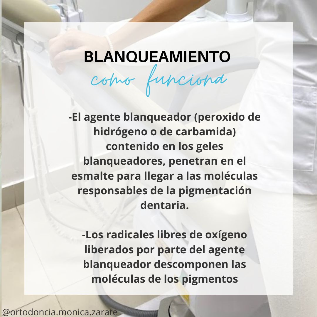 Mónica Isabel Zárate Pérez-9