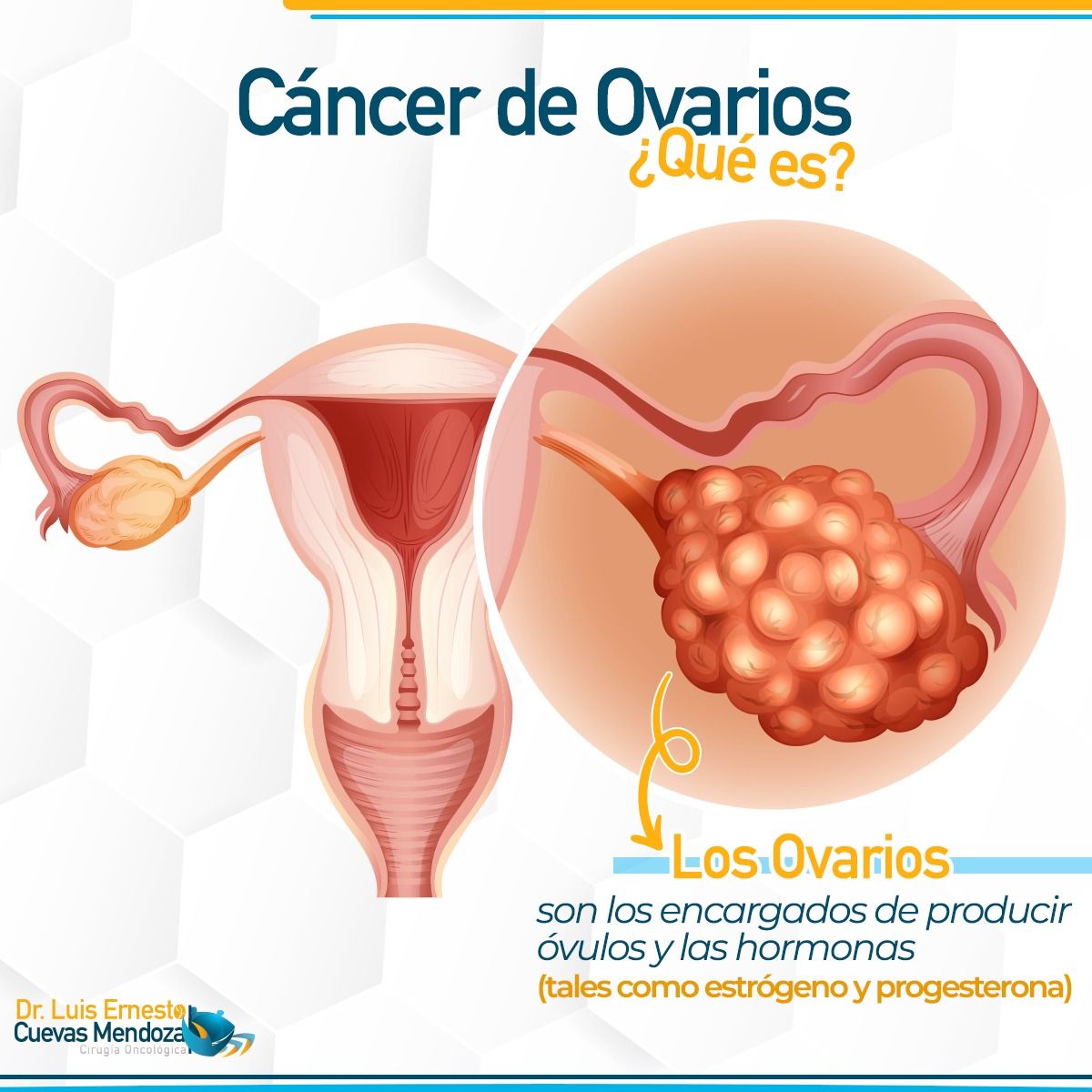 Luis Ernesto Cuevas Mendoza-98