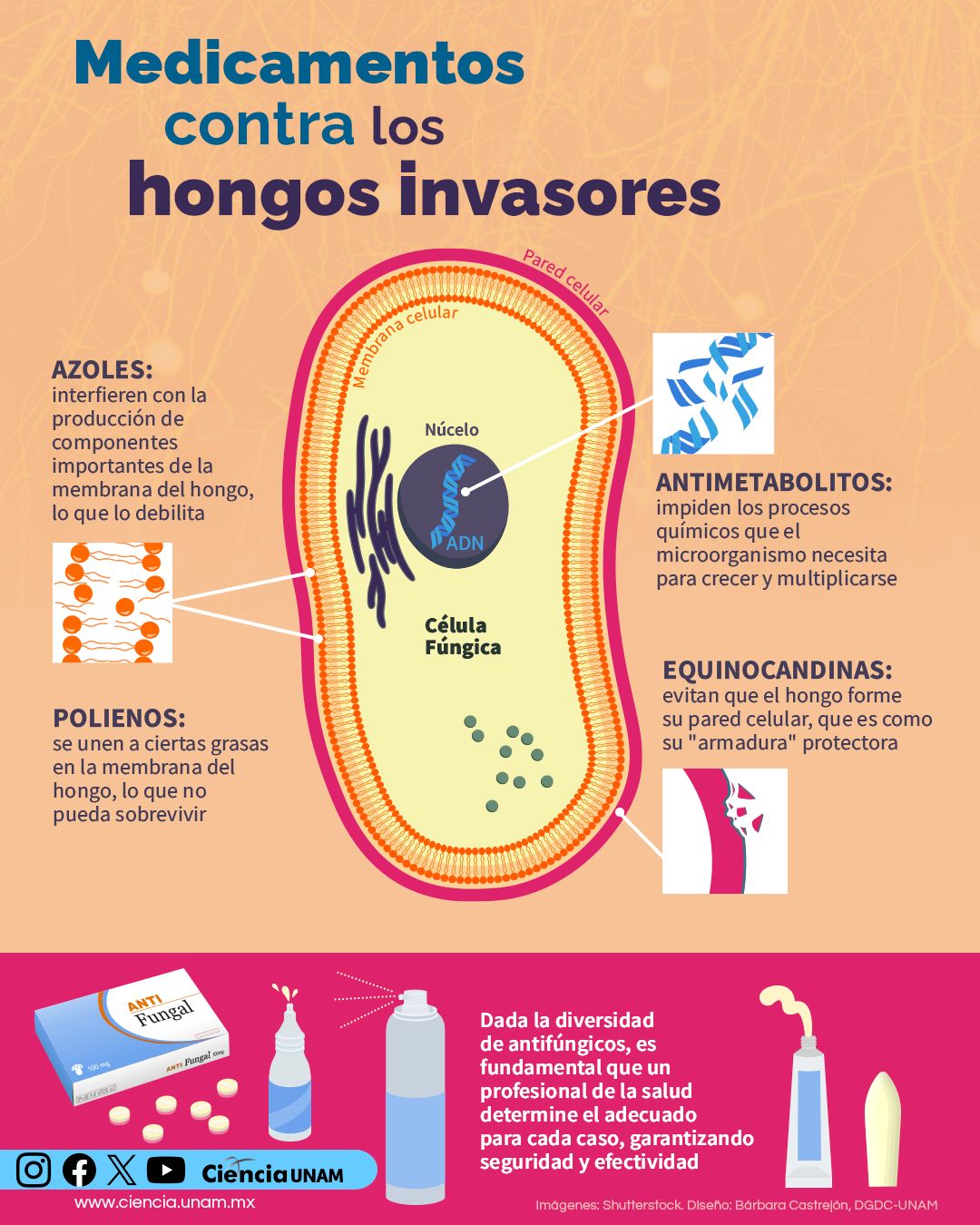 Raymundo Alejandro Cuevas Escalante-369