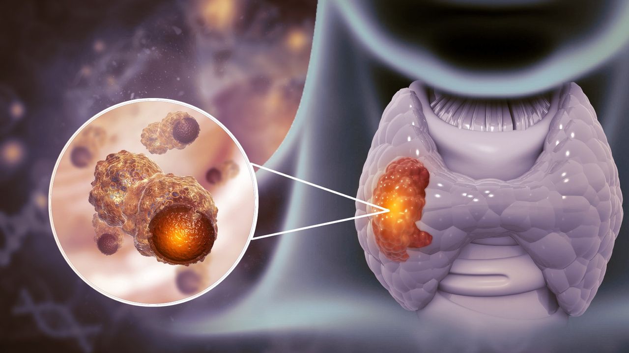 Carlos Cordero Vargas-19